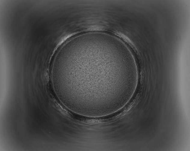 X0000085041212200703051343