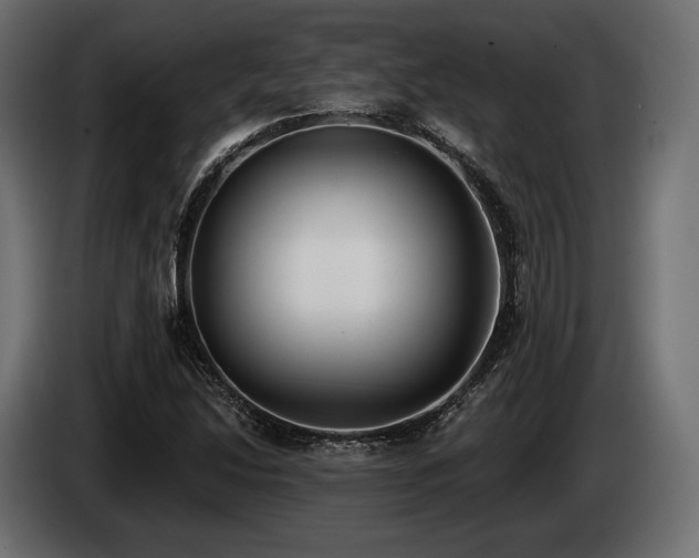 X0000085041214200703051343