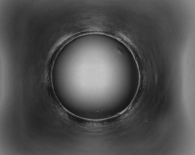X0000085041215200703051343