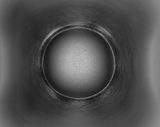 X0000085041216200703051343