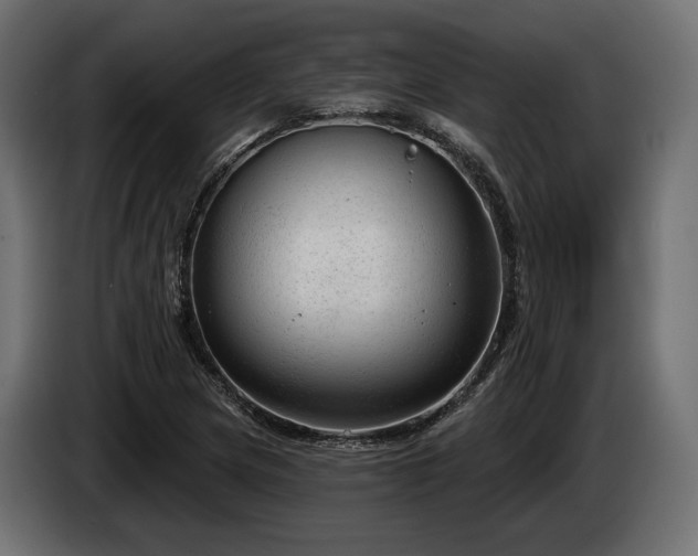 X0000085041217200703051343