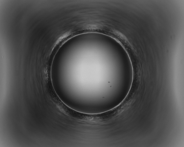 X0000085041218200703051343
