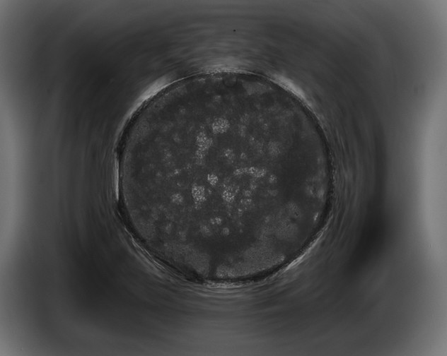 X0000085041219200703051343