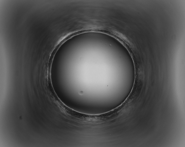 X0000085041220200703051343