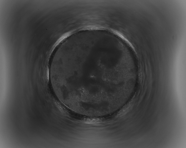 X0000085041221200703051344