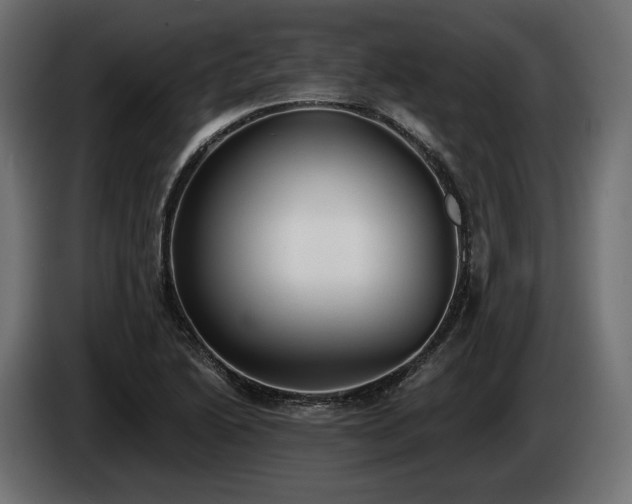 X0000085041222200703051344