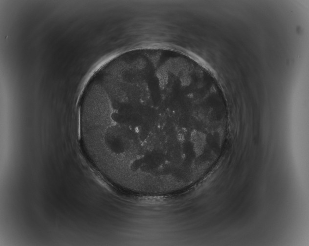 X0000085041223200703051344