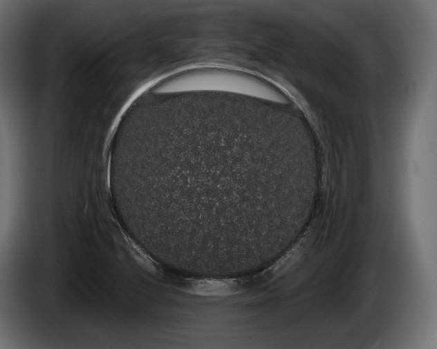 X0000085041224200703051344
