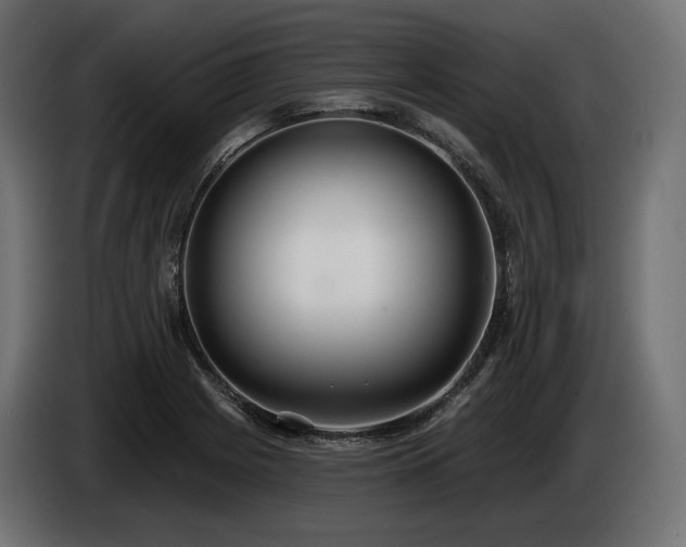 X0000085041225200703051344