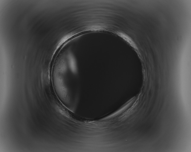 X0000085041226200703051344