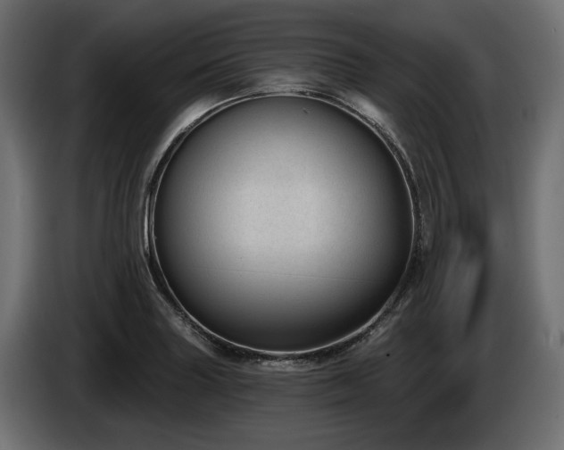 X0000085041227200703051344