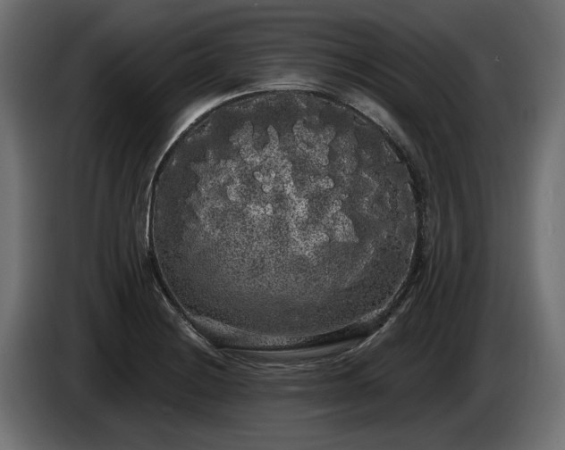 X0000085041228200703051344