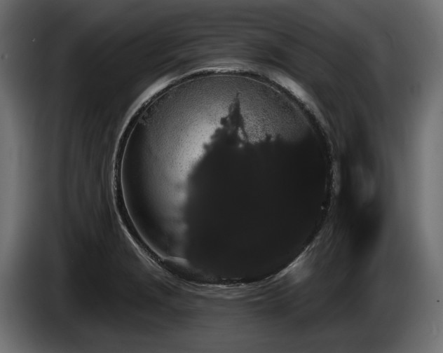 X0000085041229200703051344