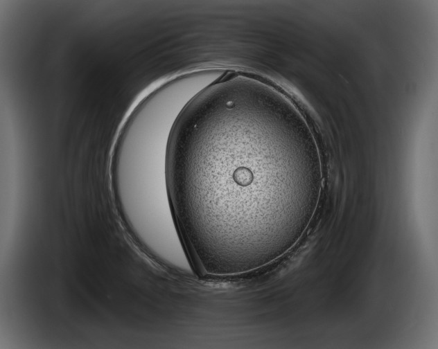 X0000085041230200703051344