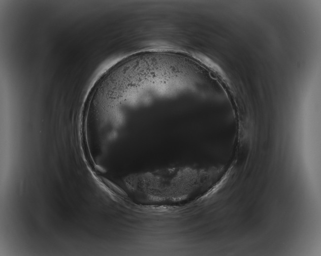 X0000085041231200703051344