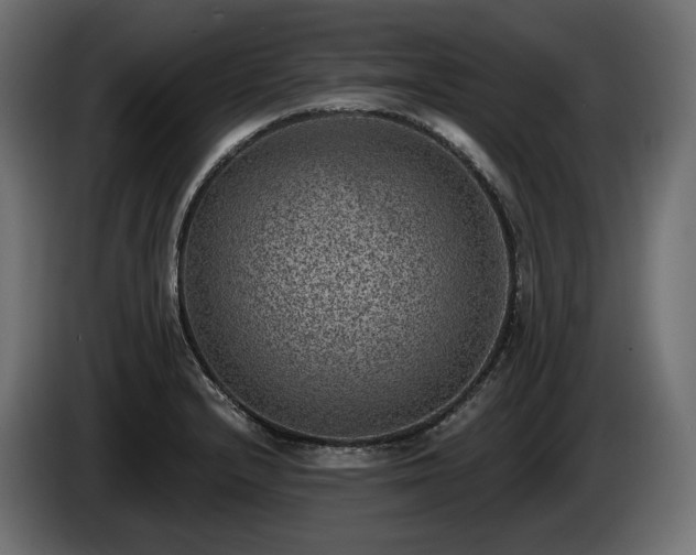 X0000085041232200703051344