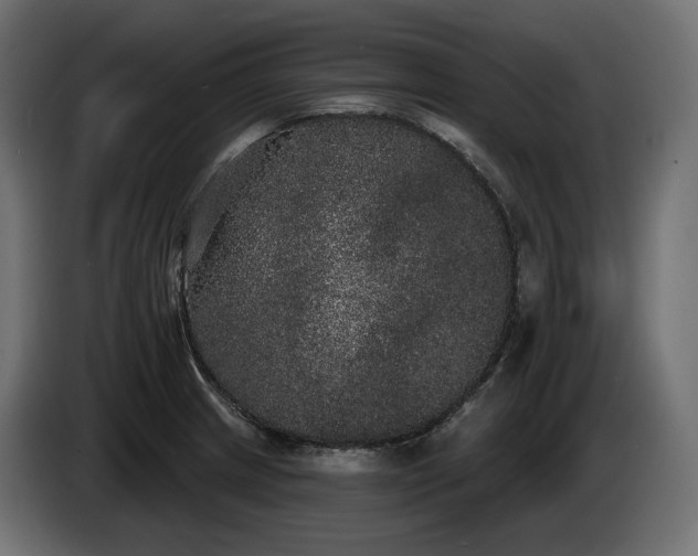 X0000085041233200703051344