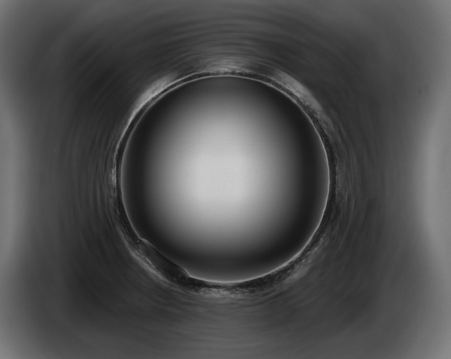 X0000085041234200703051344