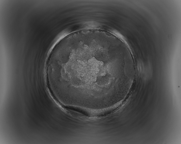 X0000085041235200703051344