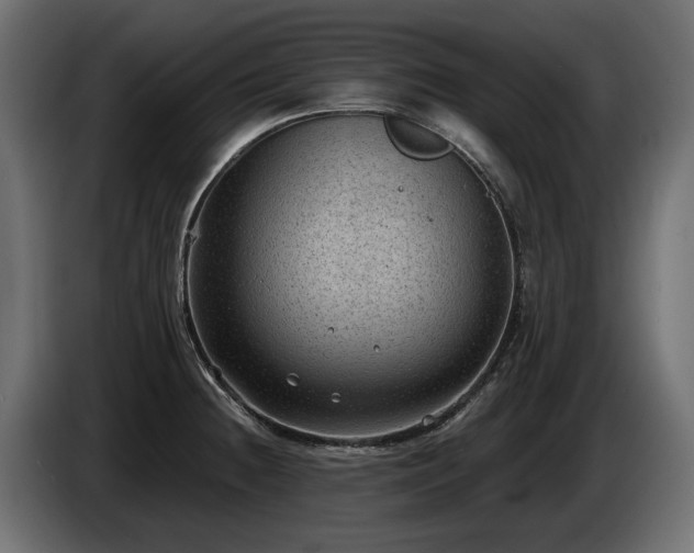 X0000085041236200703051344