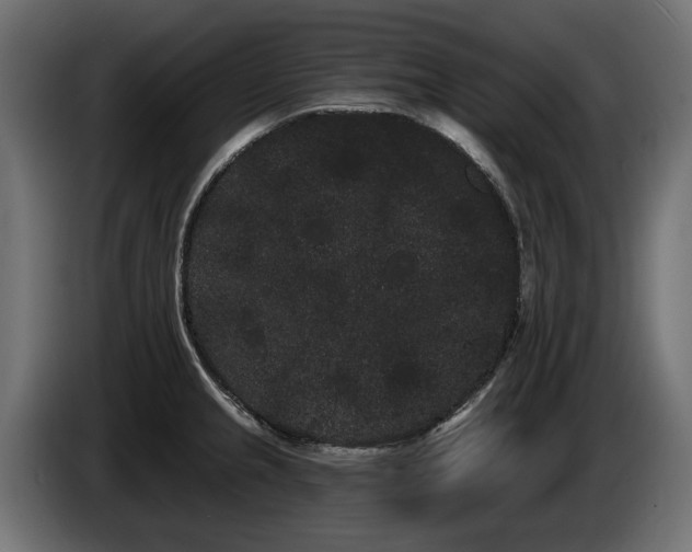X0000085041237200703051344