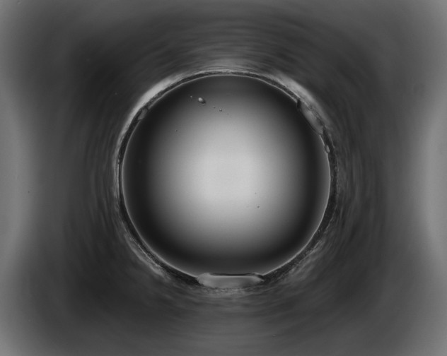 X0000085041238200703051344