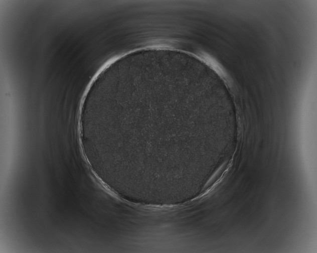 X0000085041240200703051344
