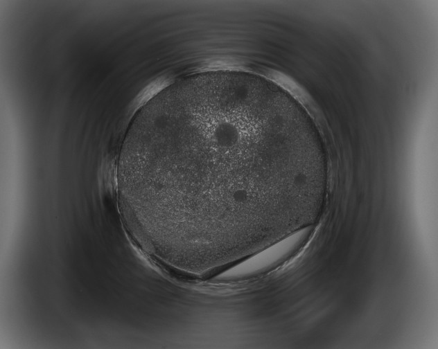 X0000085041241200703051344