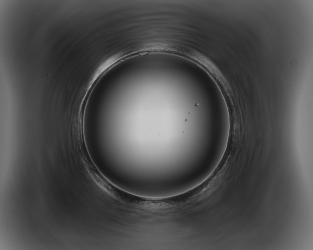 X0000085041242200703051344