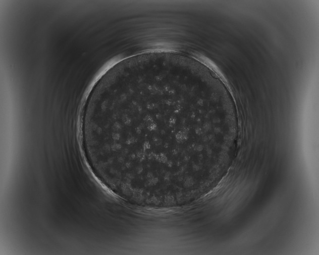 X0000085041243200703051344