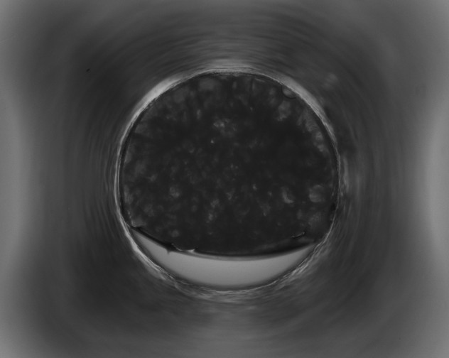 X0000085041245200703051344