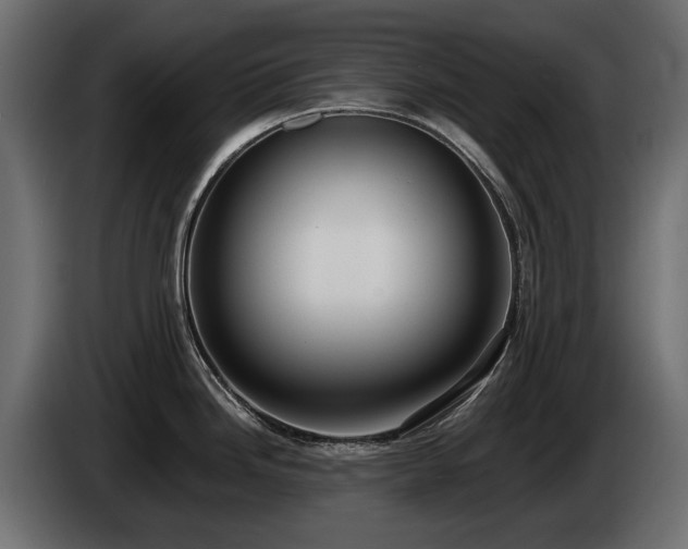 X0000085041246200703051344