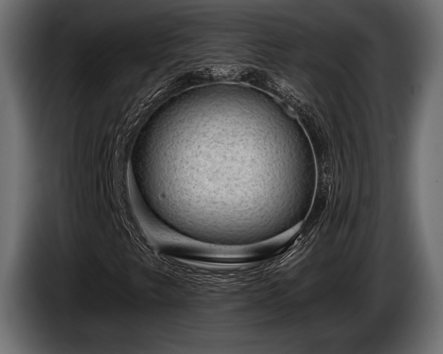X0000085041249200703051343