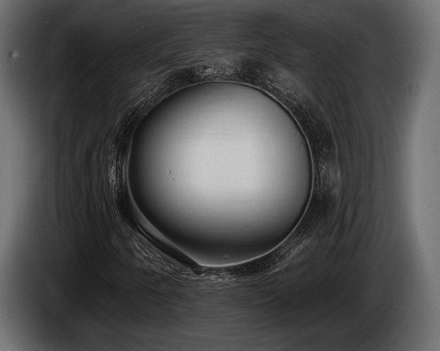 X0000085041250200703051343