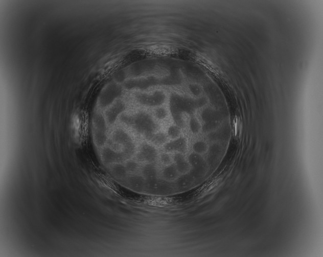 X0000085041251200703051343