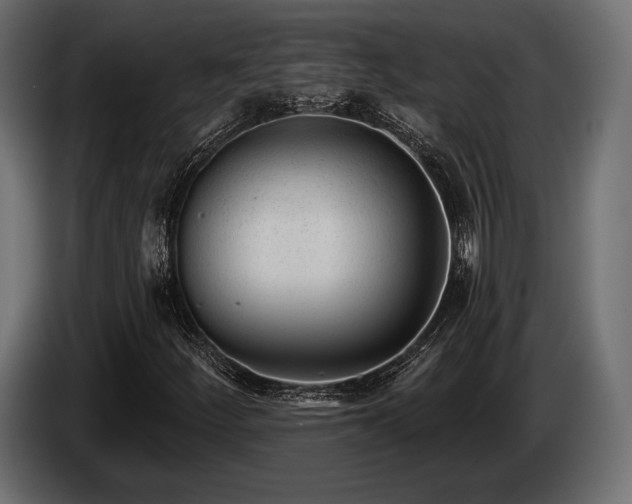 X0000085041252200703051343
