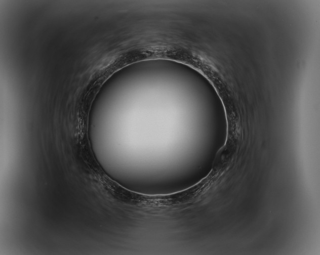 X0000085041253200703051343