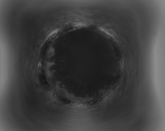 X0000085041254200703051343