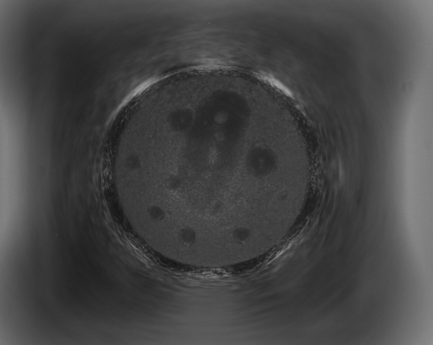 X0000085041255200703051343