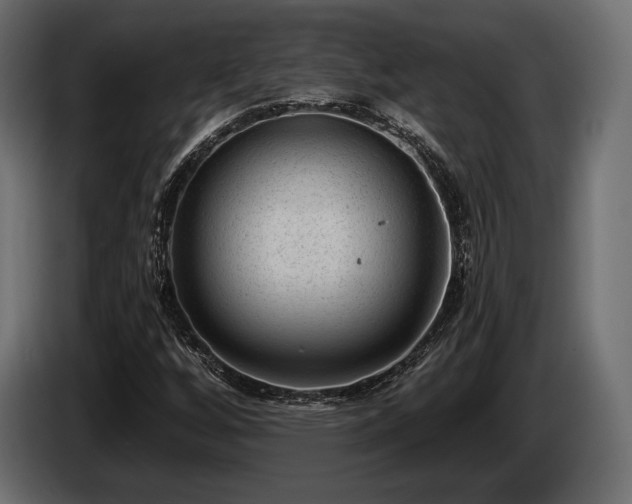 X0000085041256200703051343