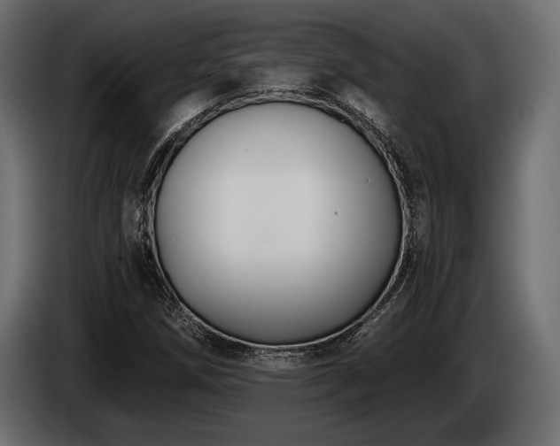 X0000085041258200703051343