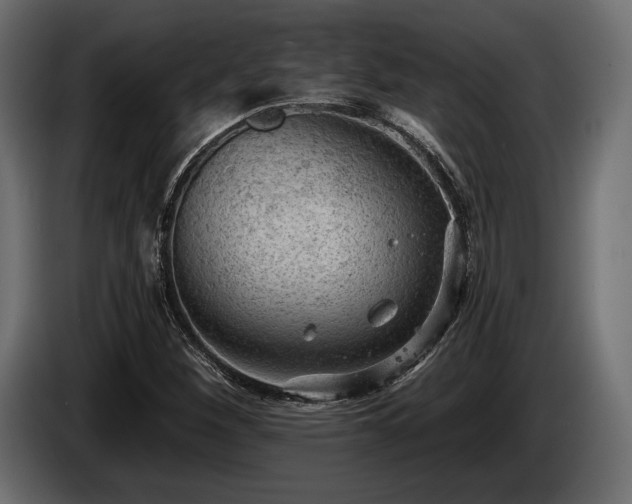 X0000085041260200703051343