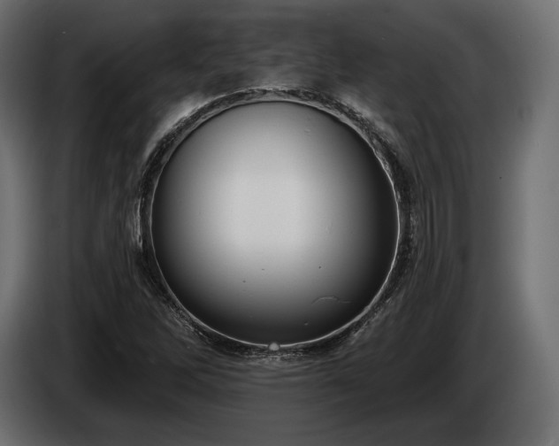 X0000085041262200703051343