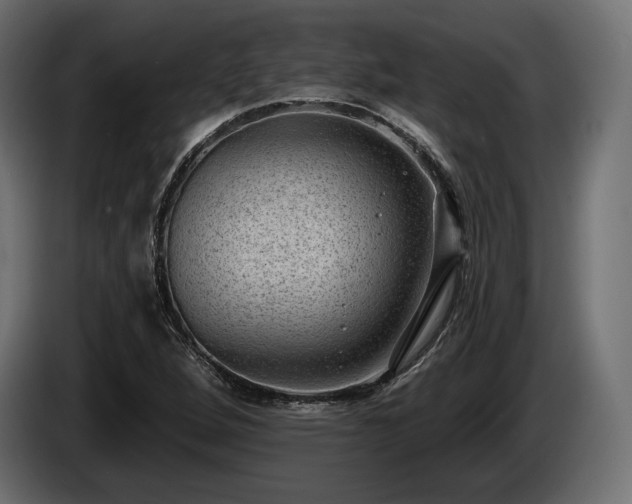 X0000085041264200703051343