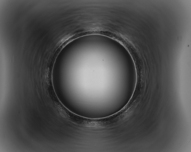 X0000085041265200703051343