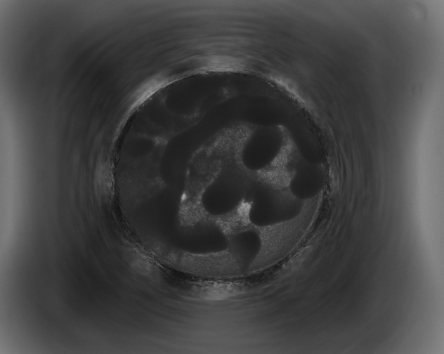 X0000085041266200703051343
