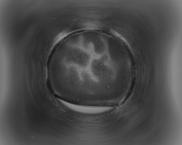 X0000085041267200703051343