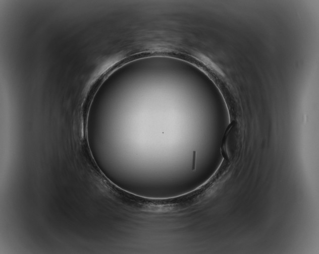X0000085041269200703051343