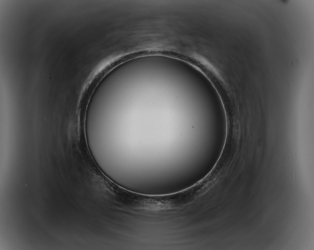 X0000085041270200703051343