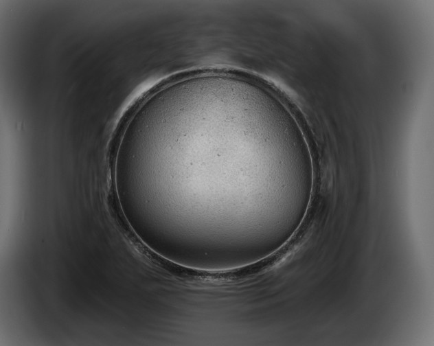 X0000085041271200703051343